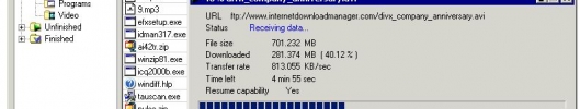 Internet Download Manager 6